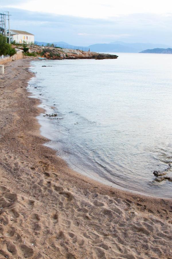 Seaside Studios Megalochori  外观 照片